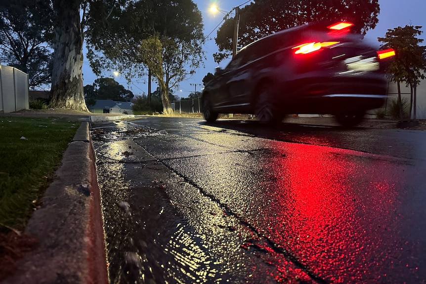 A car drives past a puddle and a tree on wet road in the dark