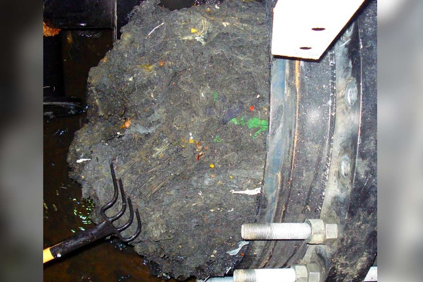 A giant hairball retrieved from a Perth wastewater pump station
