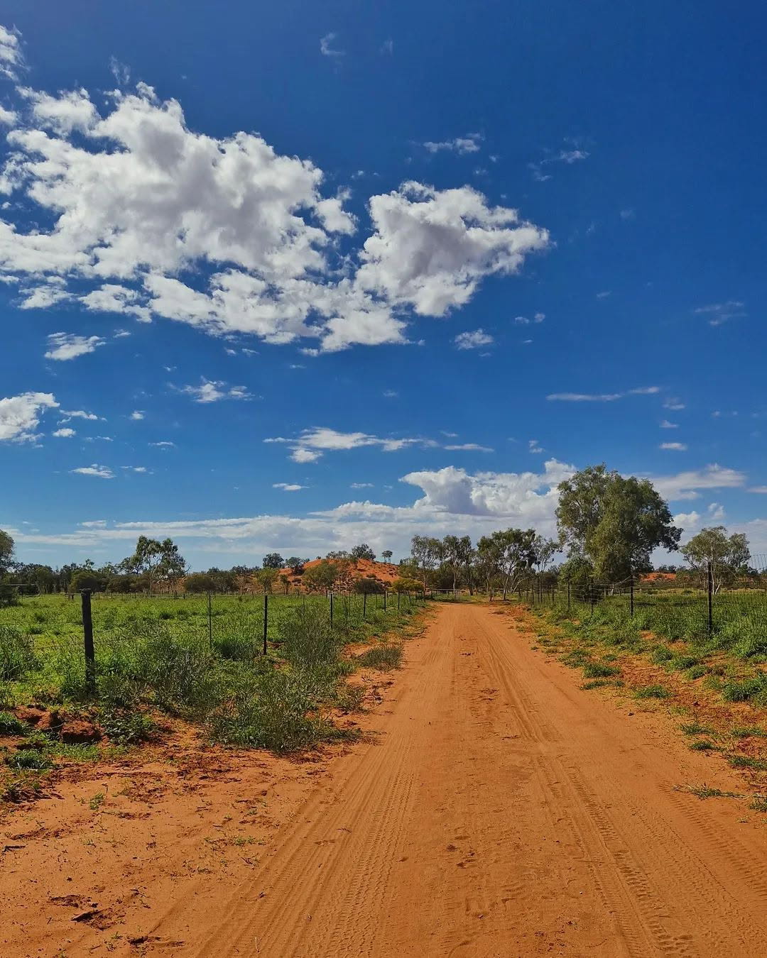 An orange dirt road leading into the bush