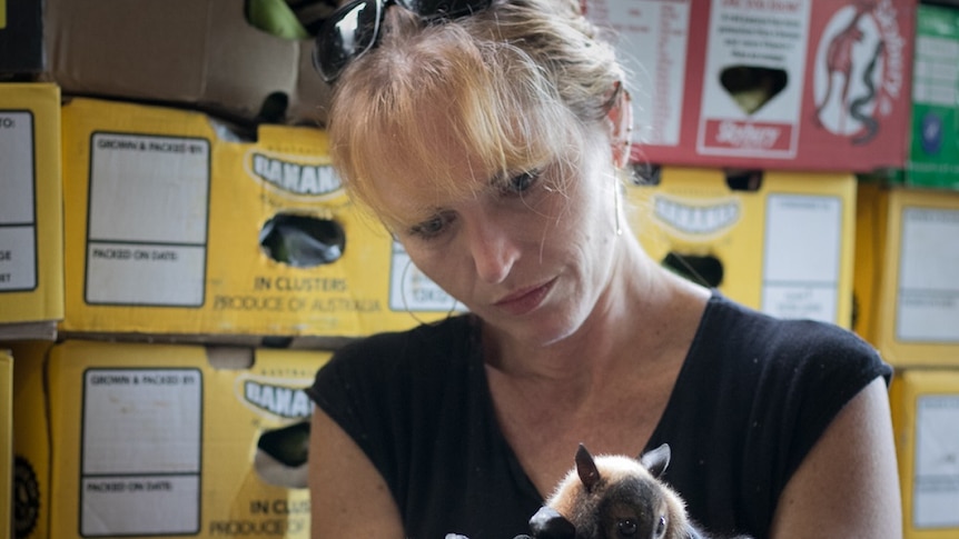 Woman holds two bats