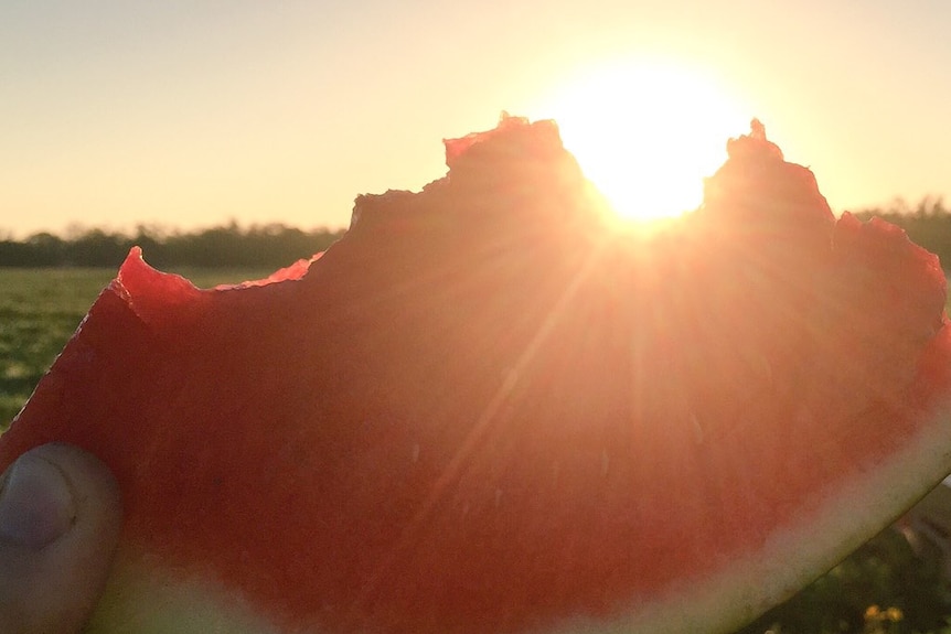 A piece of watermelon in the foreground with the sun setting behind it