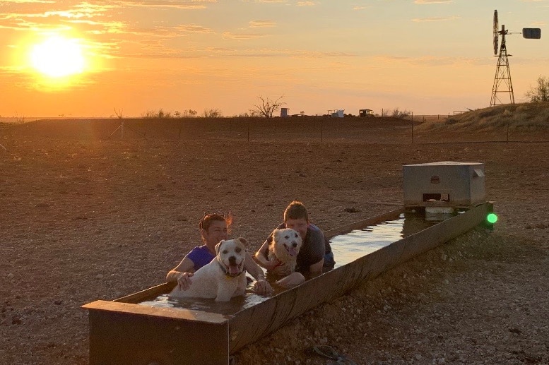 Children and two dogs sit in a trough of water.