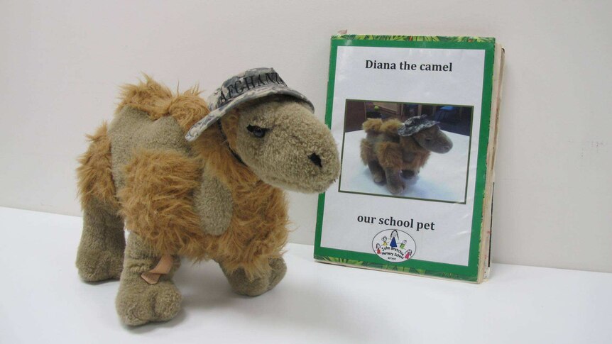 Diana the Camel