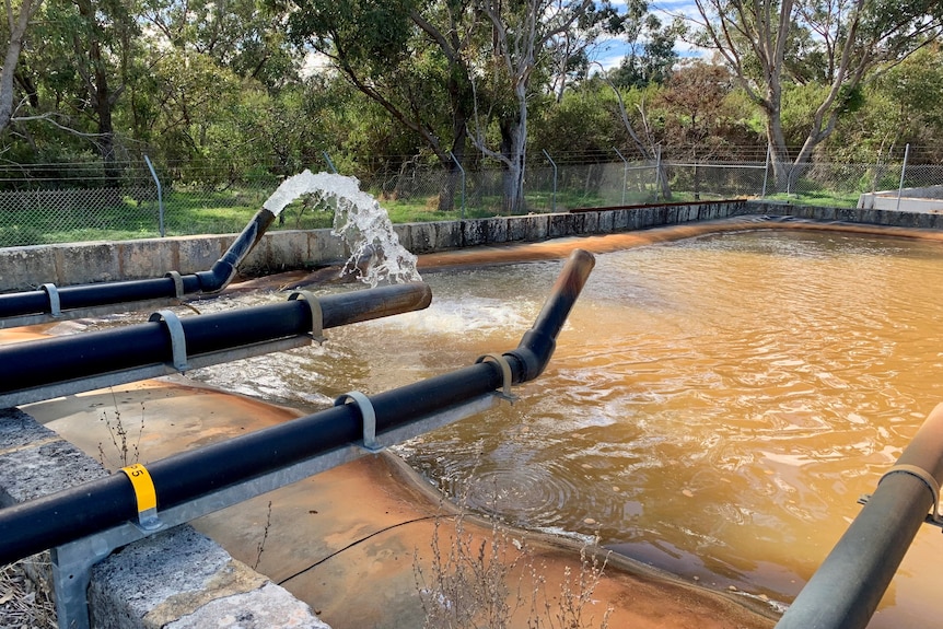 Water treatment at Kings Park.
