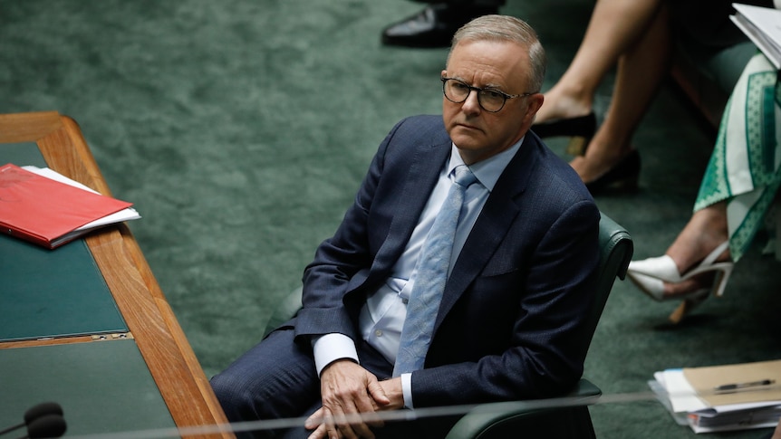 Albanese looks serious as he leans on his chair on the floor of the House of Representatives.