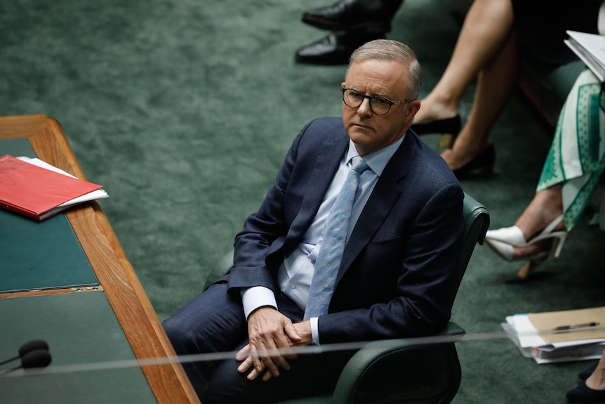 Albanese looks serious as he leans on his chair on the floor of the House of Representatives.