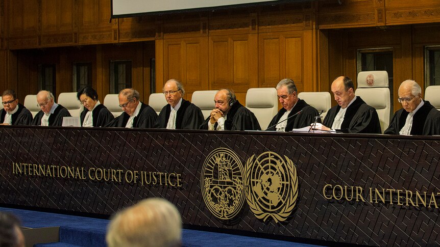 The full bench of the international court of justice 