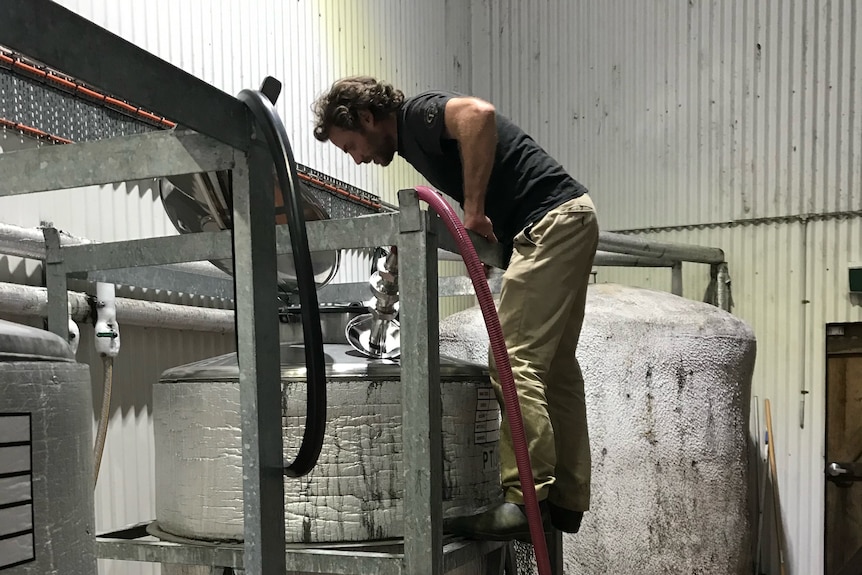 a man climbs up a large wine tank and peers inside
