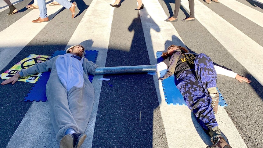 Extinction Rebellion protesters, one in a koala costume, glue themselves to a street and lock hands in a metal "locking device"