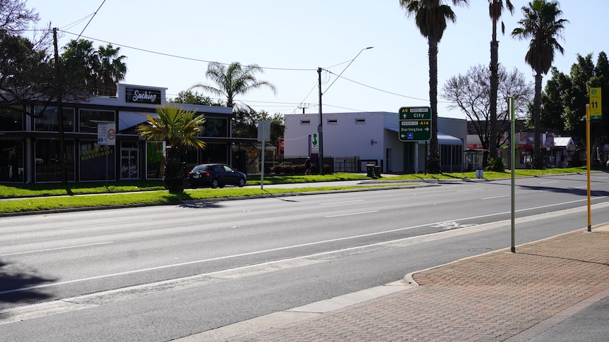 A divided road with palm trees in the median strip, along with directional signs. Only one car is visible and its parked