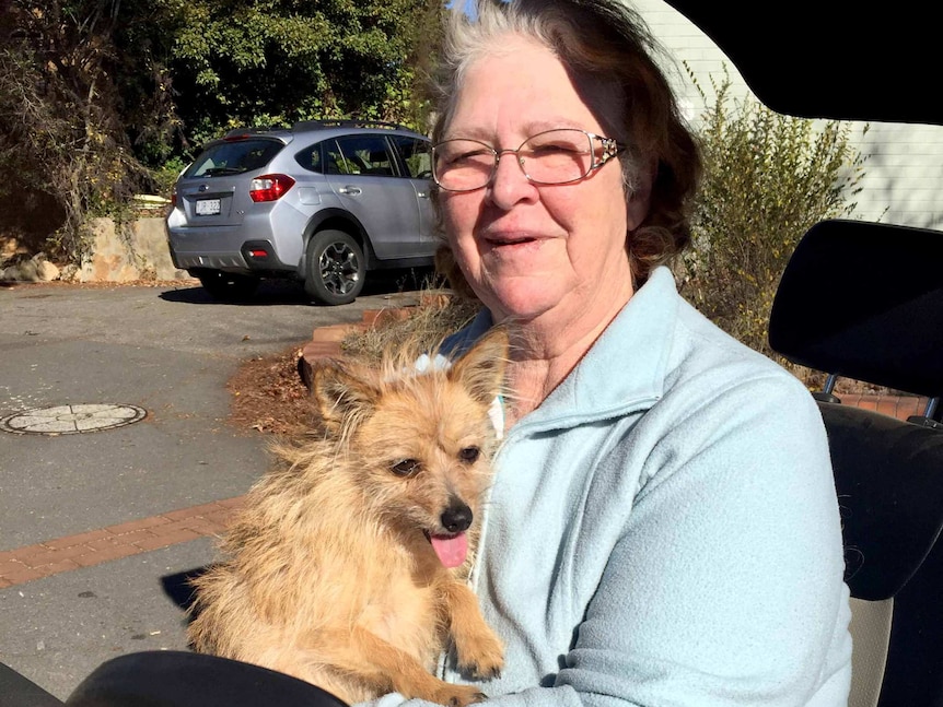 A woman on a mobility scooter holding a little dog.