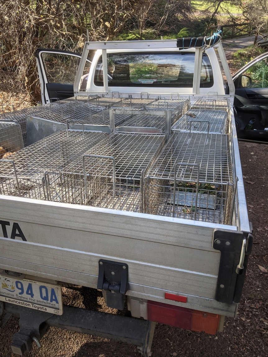 A ute tray loaded up with galvanised metal mesh cages.
