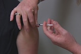 A person receiving a vaccine shot in their arm.