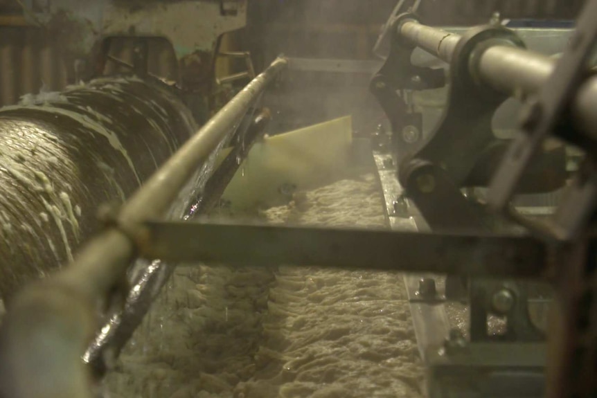 A machine churns wet raw wool.