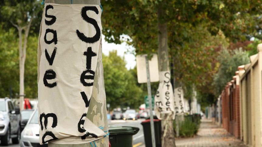 Several banners saying Save me Steve are wrapped around trees along a busy arterial road.