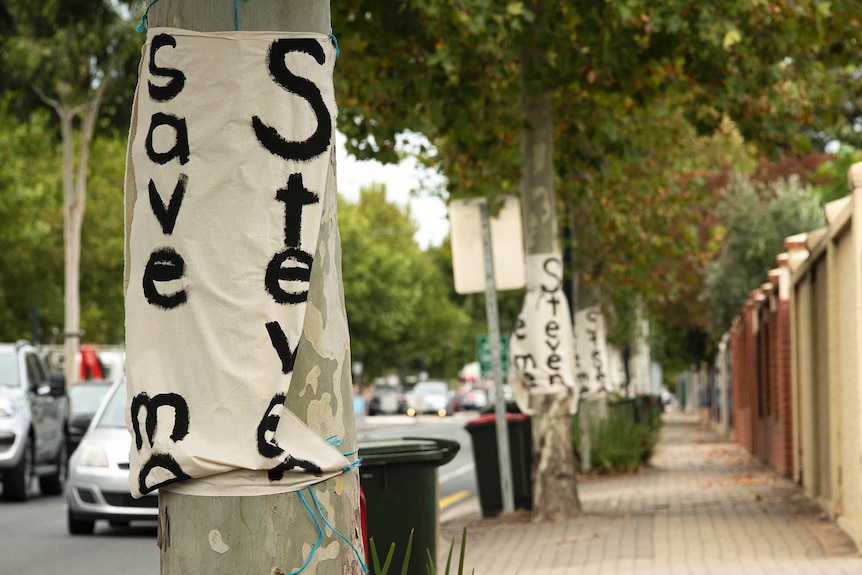 Several banners saying Save me Steve are wrapped around trees along a busy arterial road.