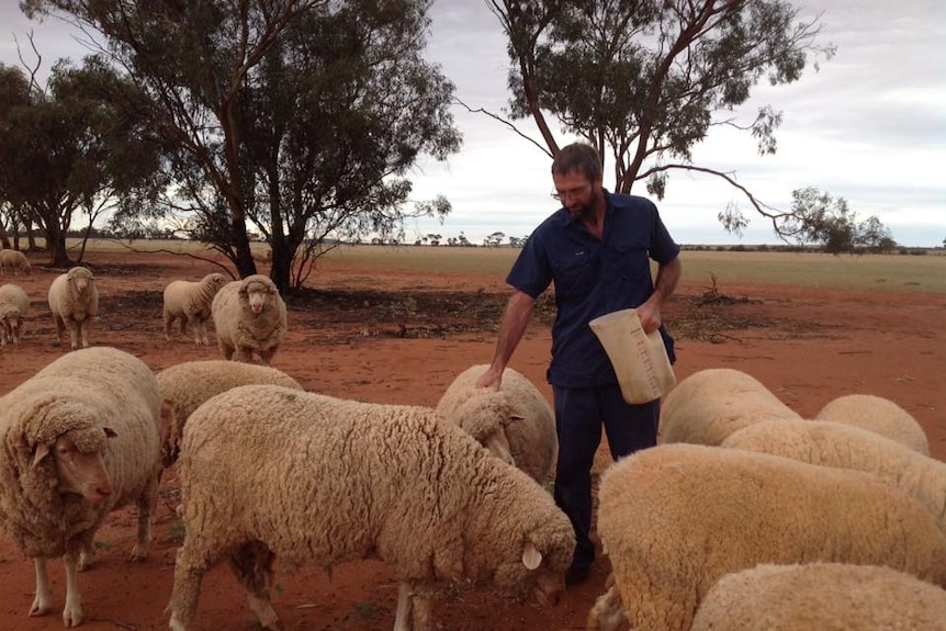 'Fill social media with photos of farmers'