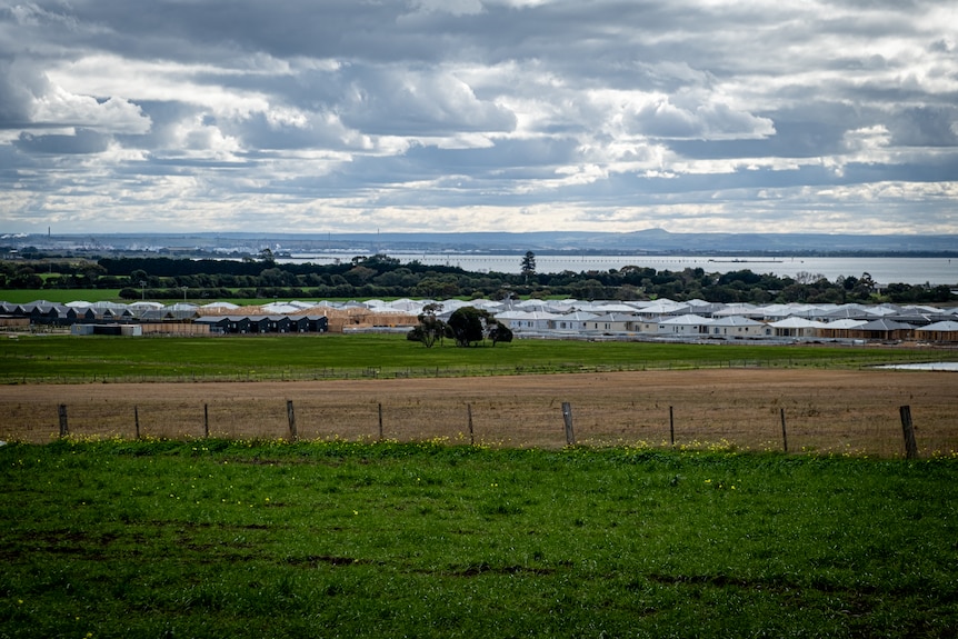 Paddock in foreground, new housing estate in background, then the sea