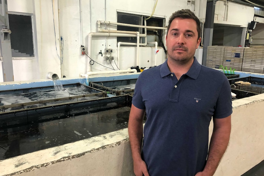 Tom Ryan, manager at Five Star Seafoods in Port MacDonnell, next to pools of crayfish.