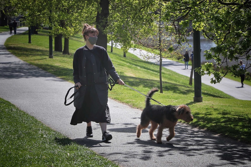 A woman walks down a path in a park walking a large brown and black dog, she wears joggers and a black dress.