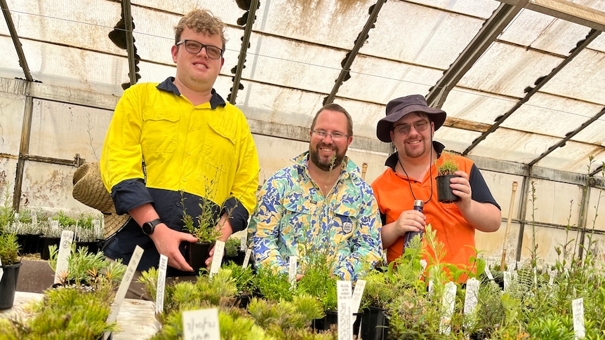 Three men stand inside a greenhouse where plants are growing.