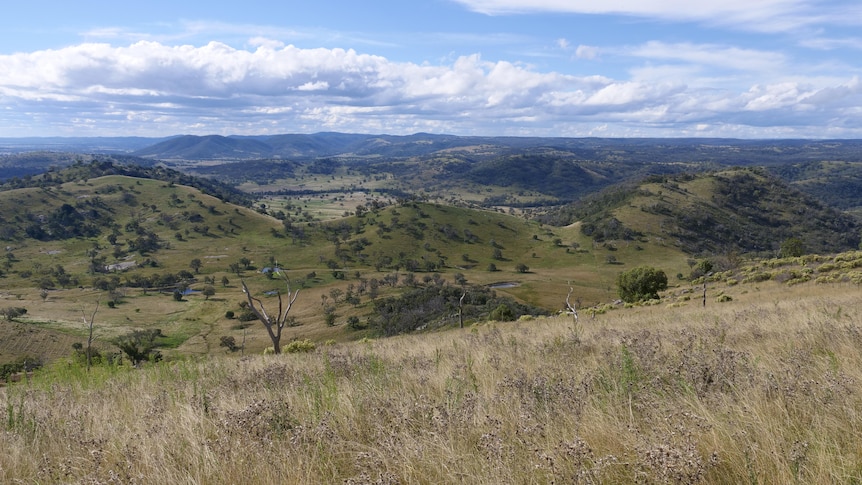 Telstra carbon farm