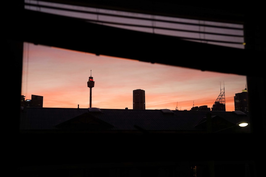 A pink and purple sunset lights up the Sydney sky, as viewed through blinds in an apartment window.