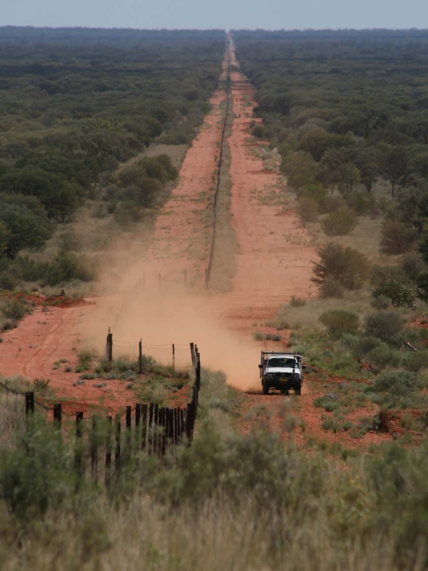 A car drives alongside Australia's 5,600km dog fence