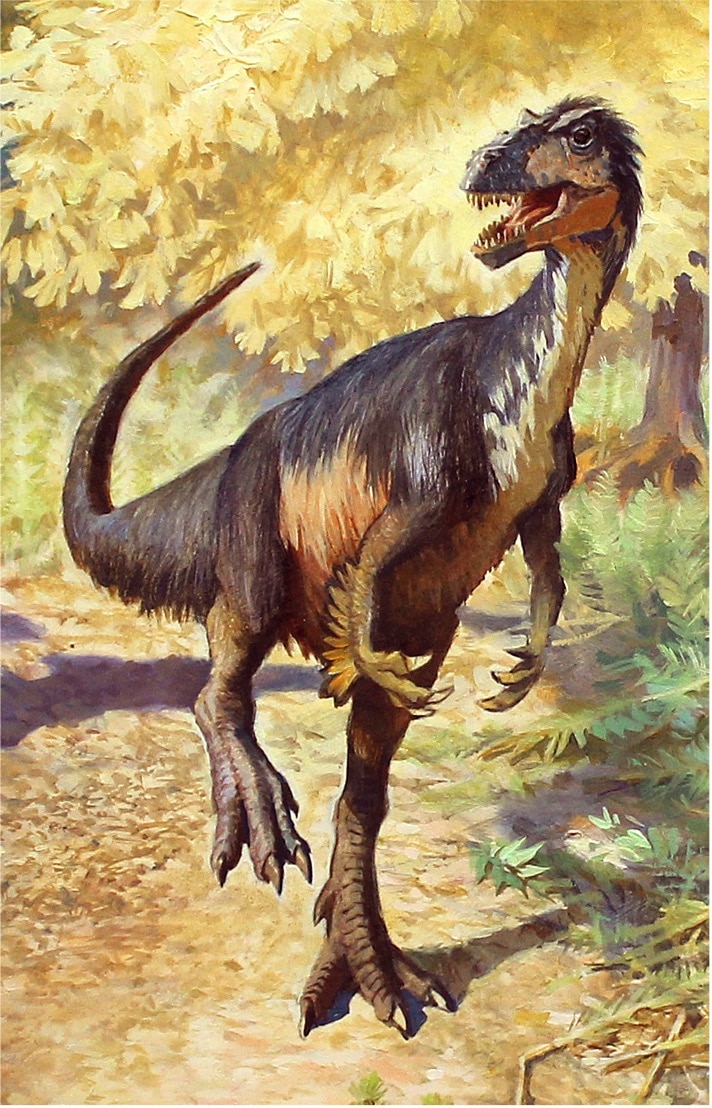 Artist impression of a carnivorous dinosaur covered in feathers. 