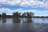 Floodwaters alongside the Newell Highway in Forbes.