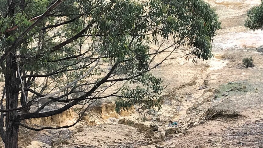 A small area of the proposed sand quarry site has been excavated causing heavy erosion (June 2018).