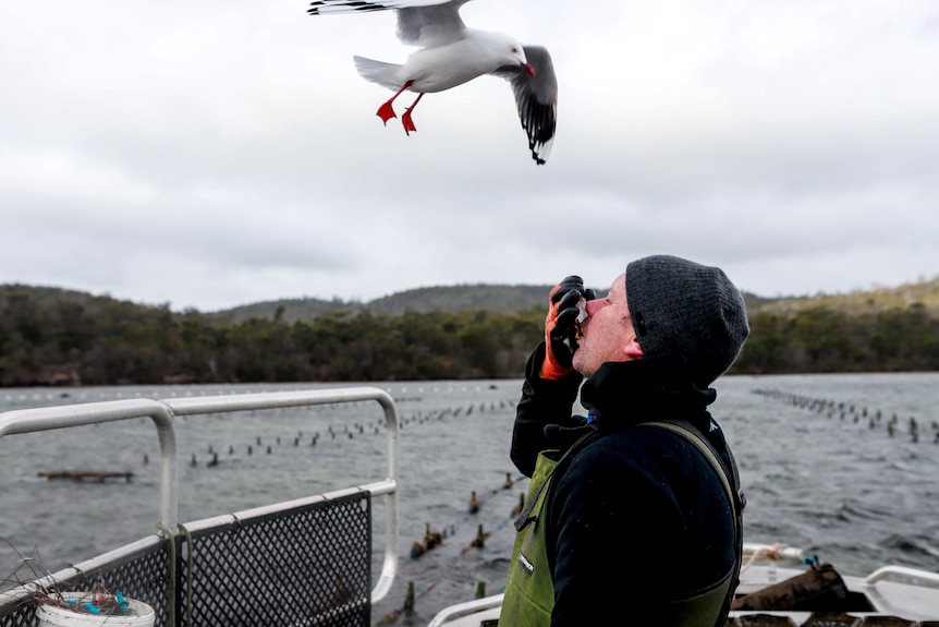 A man wearing a beanie and warm waterproof clothes eats an oyster on a boat as a seagull flies overhead