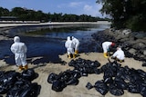 People with garbage bags in front of a beach covered in oil. 