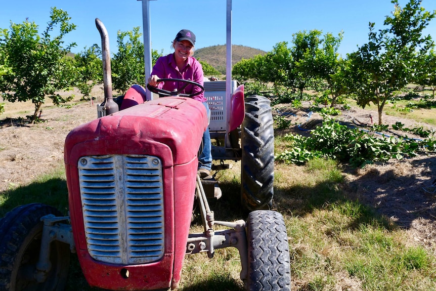 Fourth generation citrus farmer Emma Robinson starting up a tractor on her citrus farm at Gayndah in Queensland.