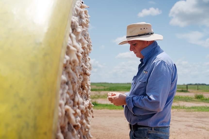 Man wearing blue shirt and hat inspecting a bale of cotton.