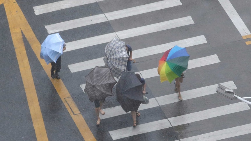 People holding umbrellas walk on a crossing in the rain