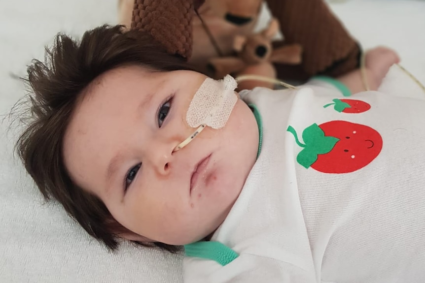 Cute dark-haired baby Enzo lying in hospital crib with brown soft toy in background.