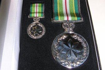 War medals stolen from soldier's home