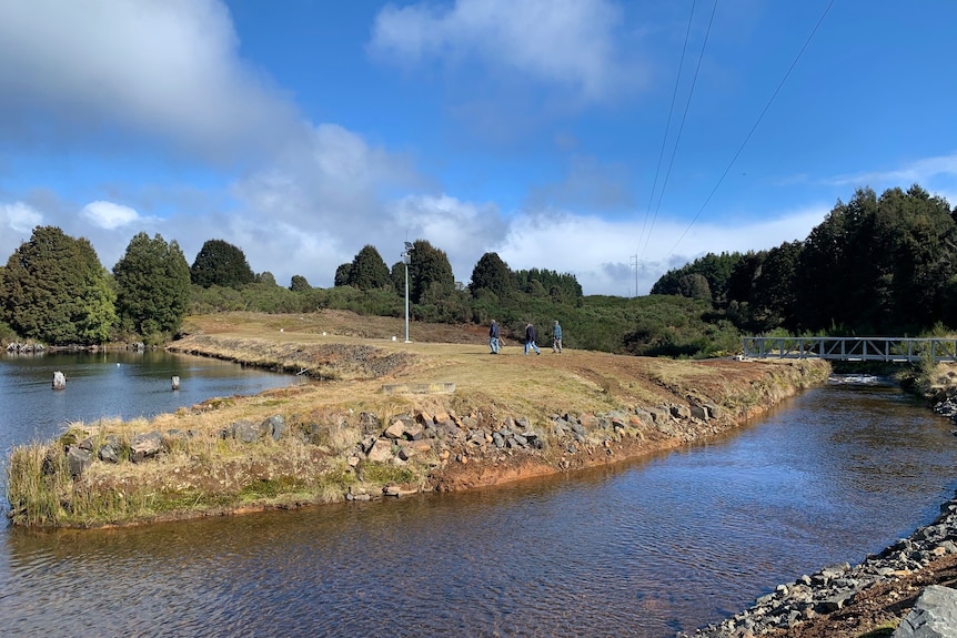 A grassy bank and a waterway