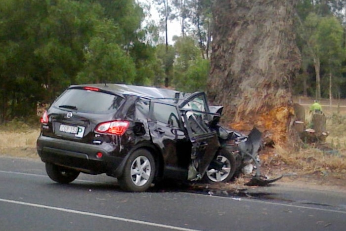 Black car crashed into a tree