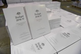 Budget papers 2016-2017