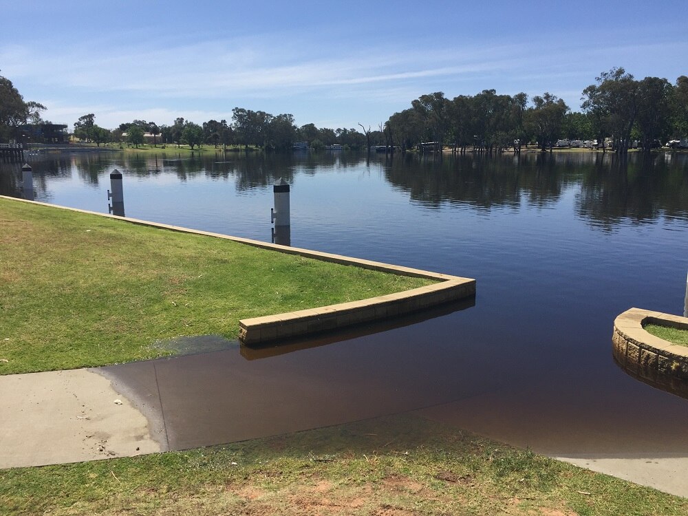 Mildura riverfront to close for Murray River floods ABC News