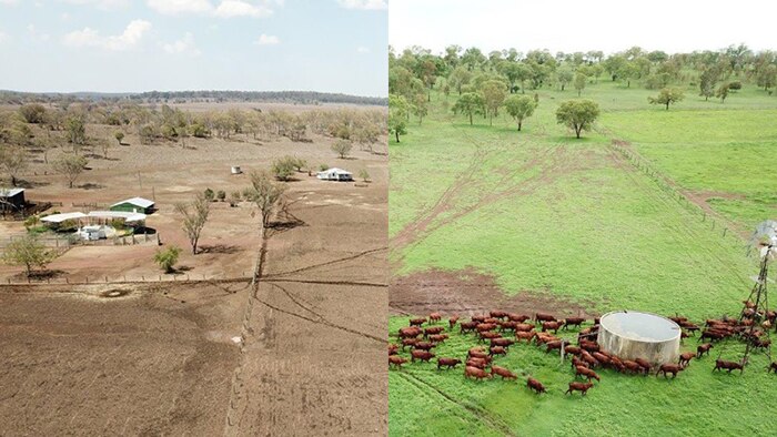 Before and after composite photo of David and Sonya Greenup's Rosevale property at Jandowae.