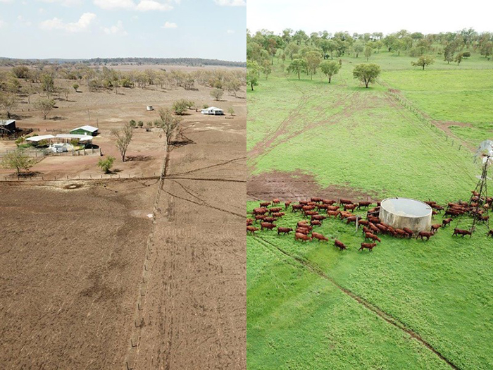 Before and after composite photo of David and Sonya Greenup's Rosevale property at Jandowae.