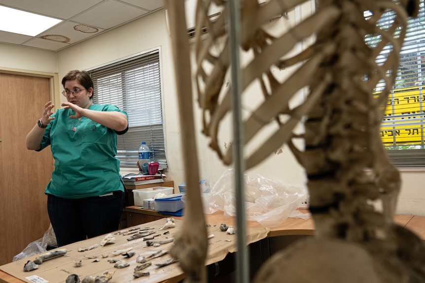 A woman wearing a green shirt talks in front of a collection of tools and bone fragments in a small room.