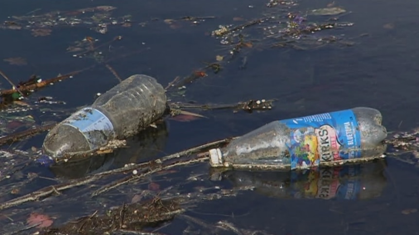 Some rubbish in a waterway