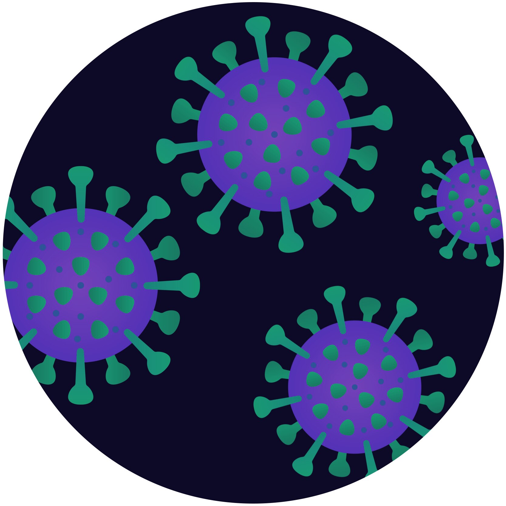 A graphic representation of the influenza virus
