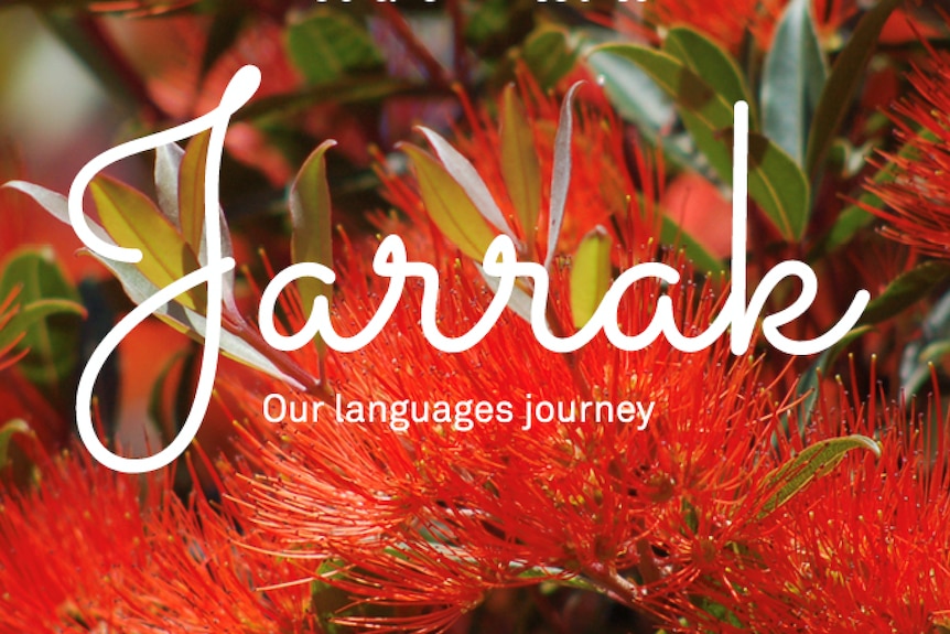 The Jarrak logo in front of beautiful red native Bottle Brush plants.