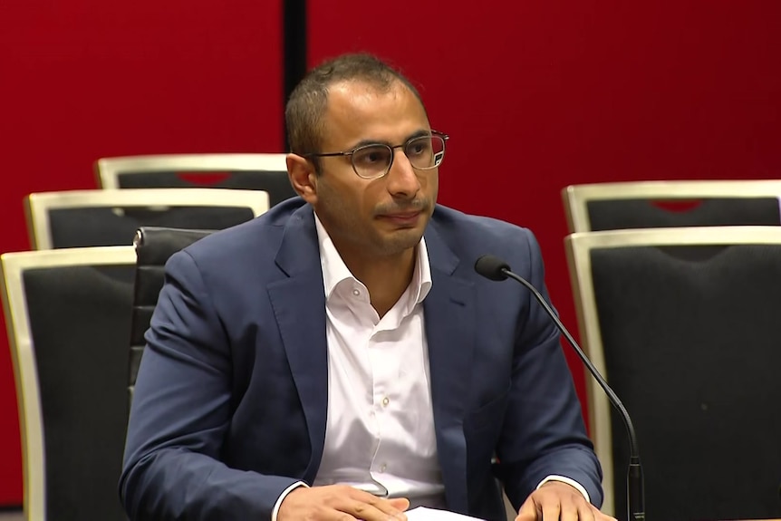 Dr Tadros at the NSW parliamentary inquiry into ambulance ramping
