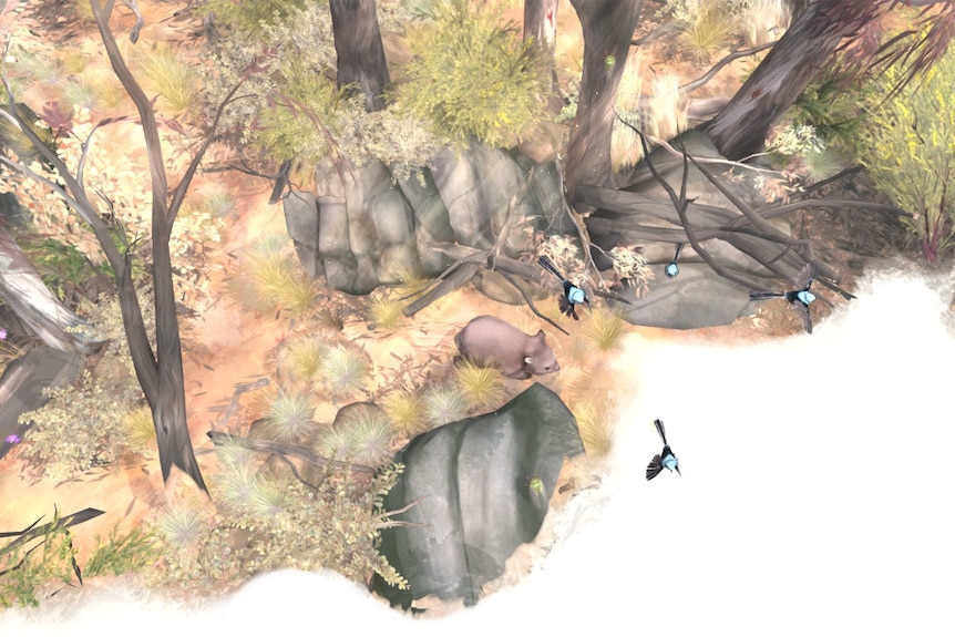 A screenshot from a three dimensional video game showing a wombat in a bush landscape interacting with three fairy wrens